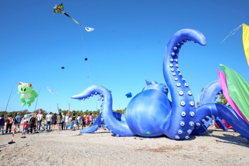 L'agenda du week-end à Toulon (31 octobre, 1er & 2 novembre 2025)